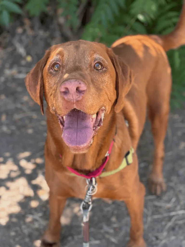 Max